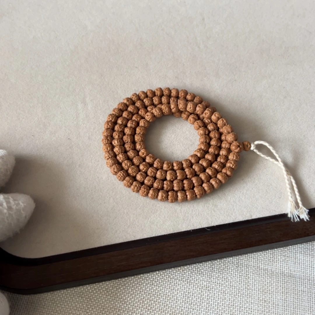 6.5五爪金龙原桩佛手