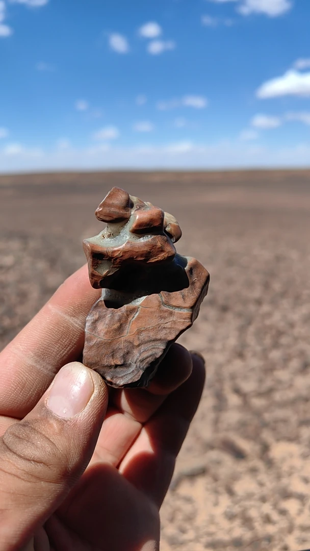 内蒙古阿拉善戈壁石