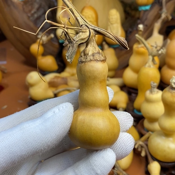 雅****途径和教练考虑教练咯