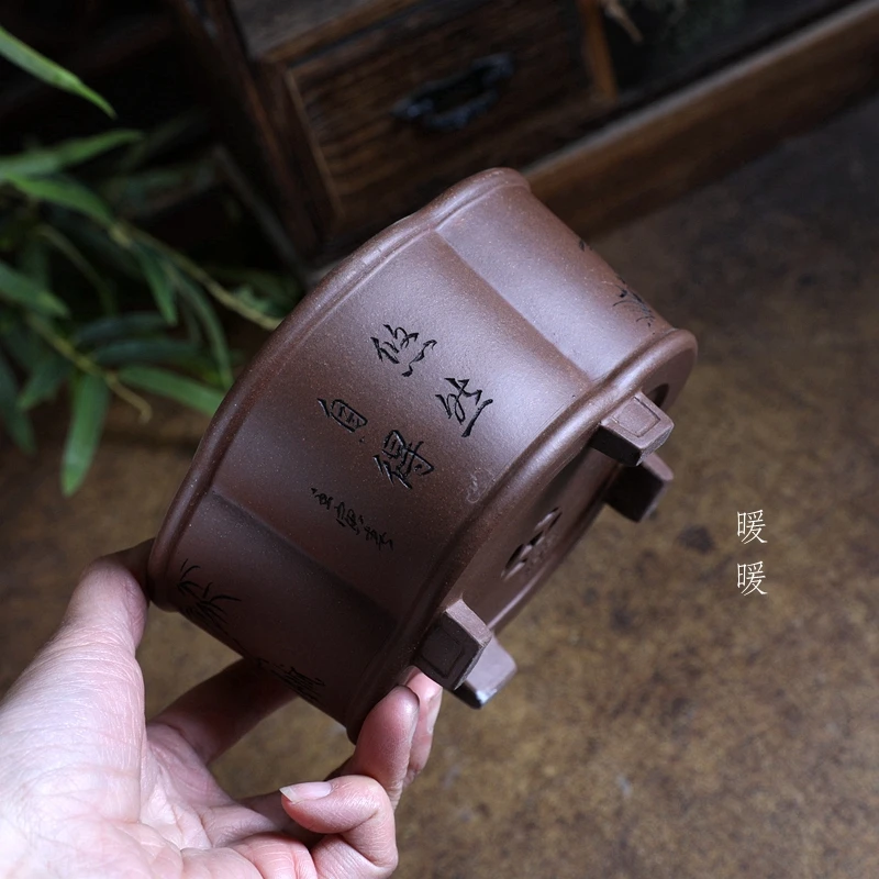 『悠然自得直口海棠』暖暖精选小花盆原矿紫砂长青微盆景绿植