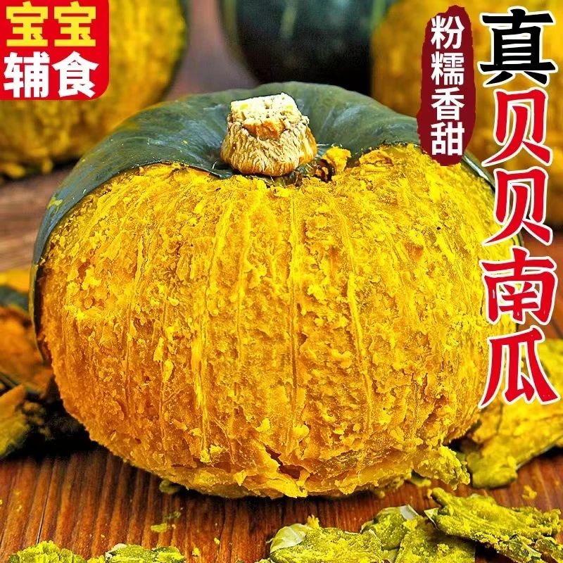 正宗山东贝贝南瓜新鲜板栗味小南瓜粉糯香甜辅食蔬菜