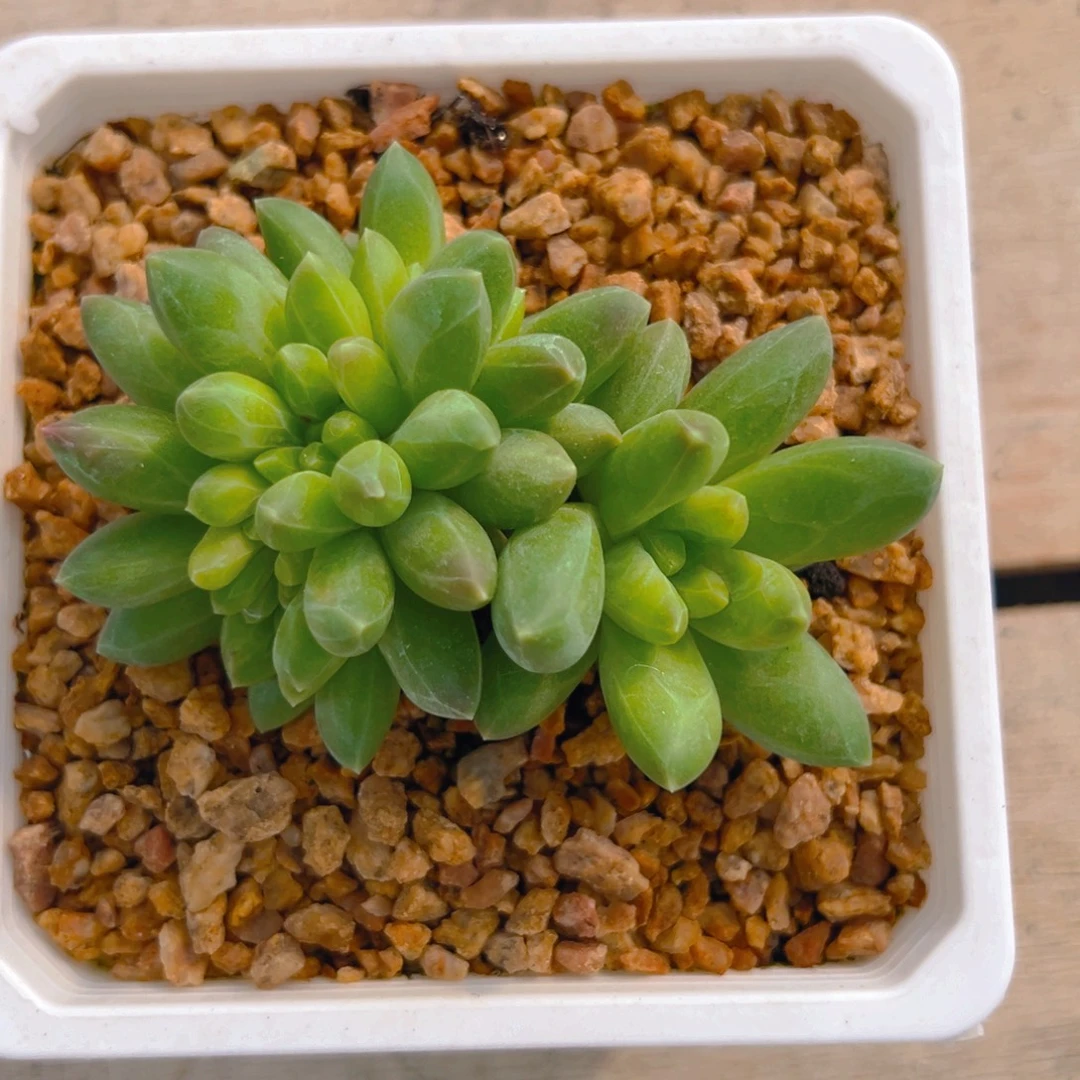 ℳ***এ111111111111111111111