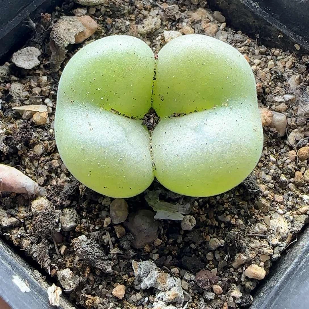 *****哈哈哈哈哈哈哈43418