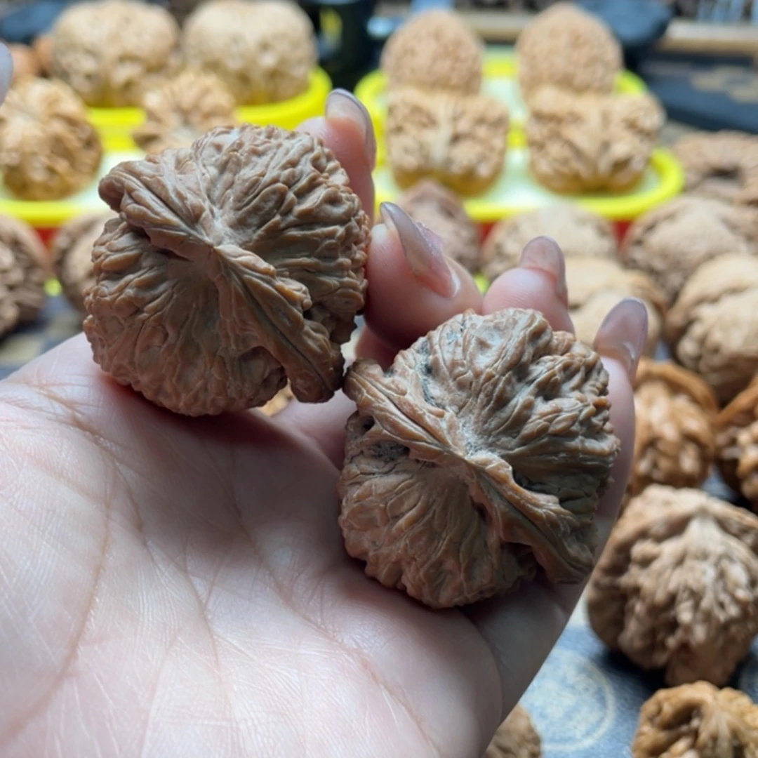 把件桃核39全品白狮子核桃