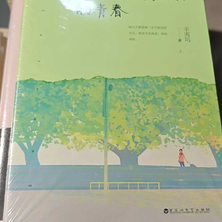 致我们终将逝去的青春两本