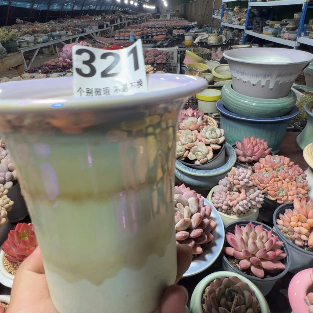 特价花盆满50元发货内口10