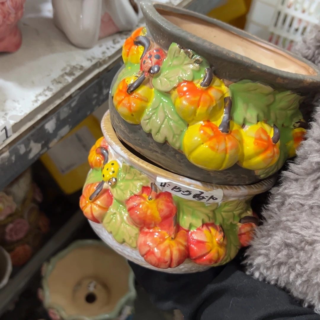 满20米秒退拉黑花盆