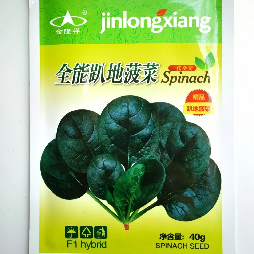 趴地菠菜种子秋冬季耐寒籽种蔬菜越冬波菜种籽孑菜籽菜种老品种