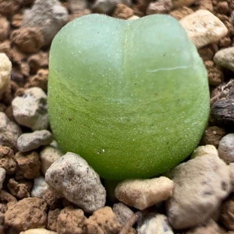 42 好看的肉肉冲冲冲冲冲冲