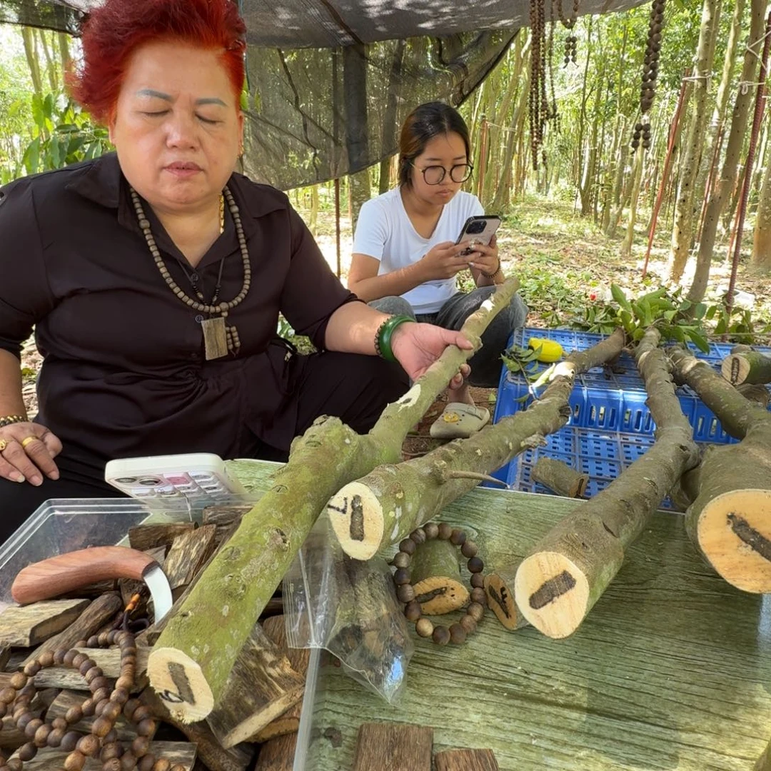 平***易线香奇楠沉香原木