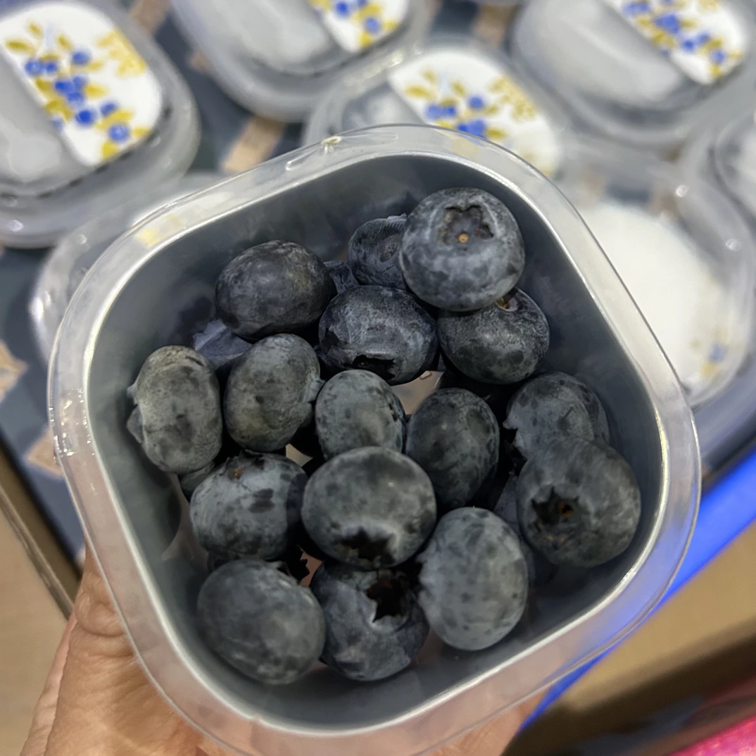 云南新鲜花香蓝莓1杯云南省