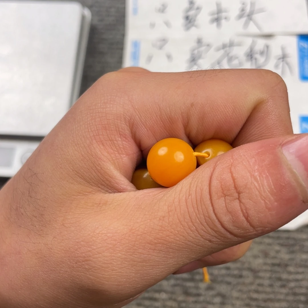 缅甸花梨（花梨木类）222