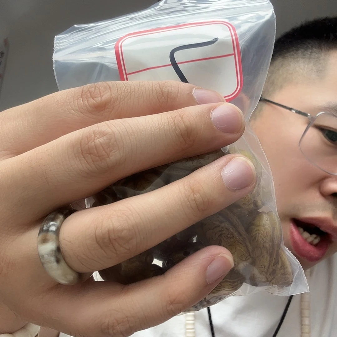 橄榄核手串/手链工艺品7