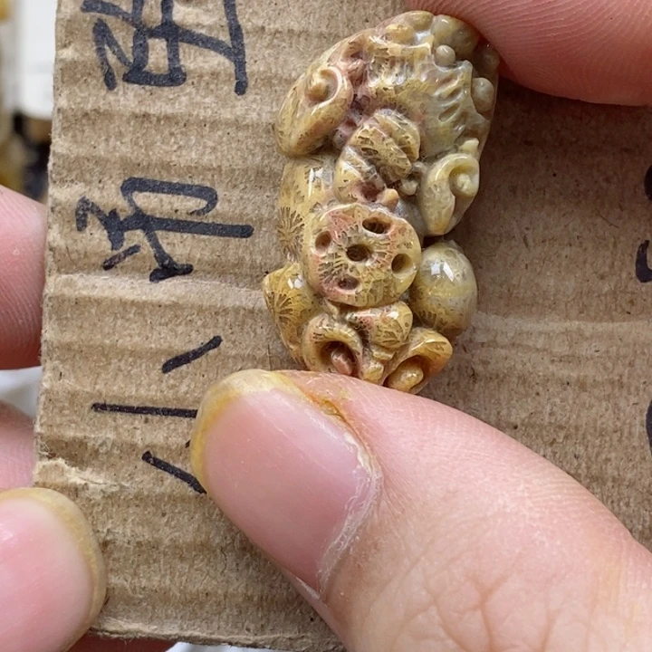 颈饰未镶嵌硅化珊瑚（珊瑚玉）晨*晨