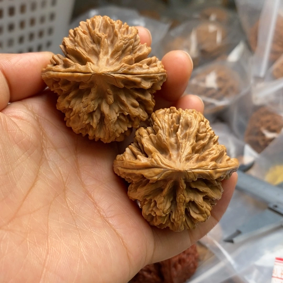 B***C文玩核桃把件花王44尺