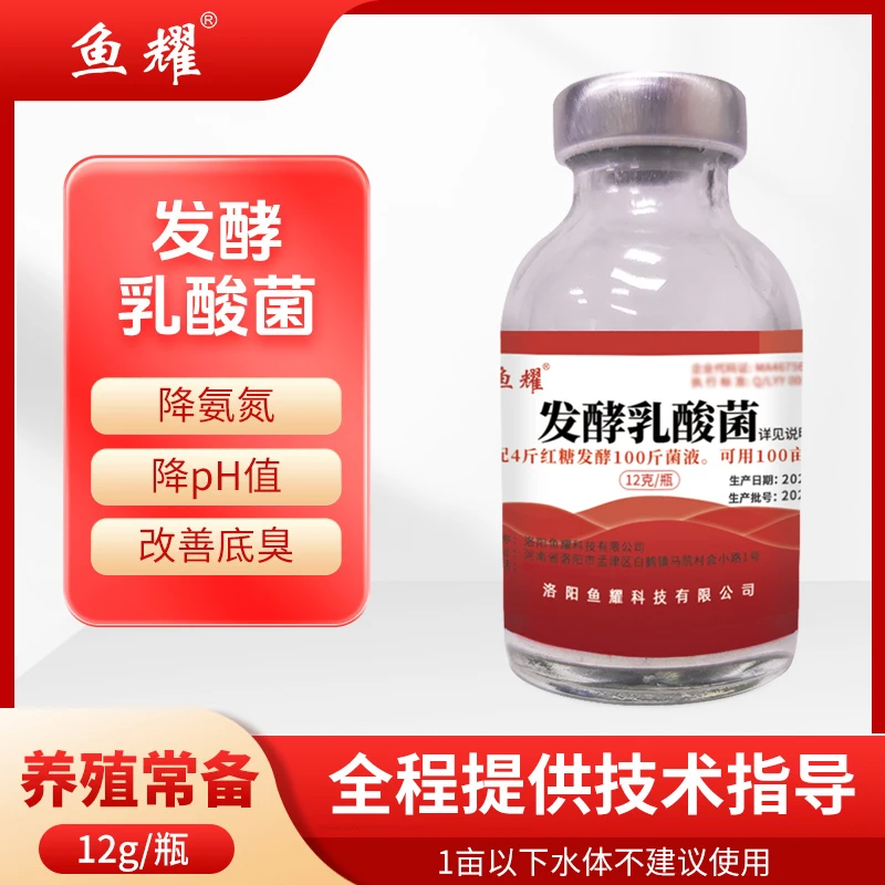 鱼耀(发酵)乳酸菌水产专用降氨氮去泥皮稳定Ph值蟹苗扩培菌种12g