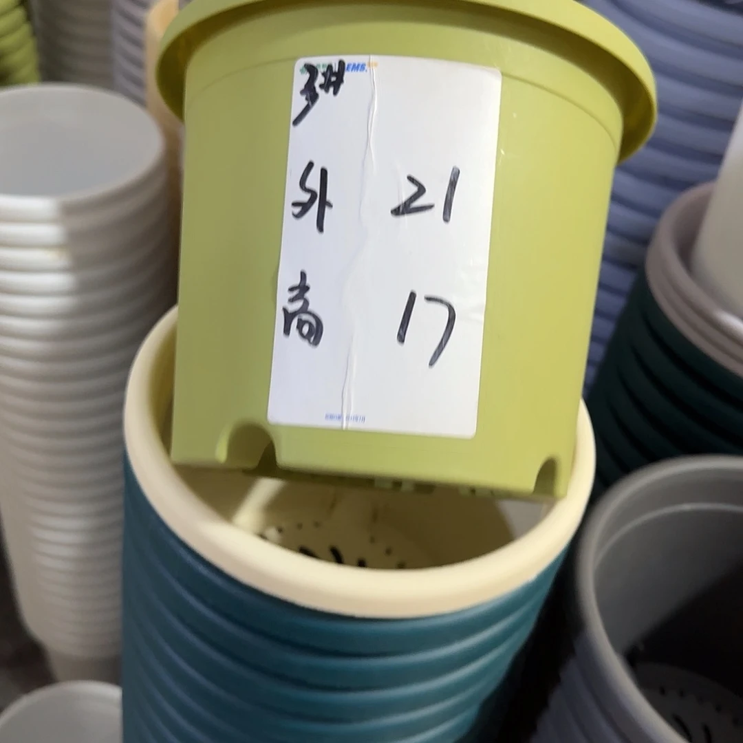 微瑕3号无托10个，果绿