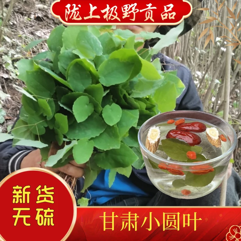甘肃野生小圆叶三枝九叶草高海拔采摘自然晾晒泡酒好材料
