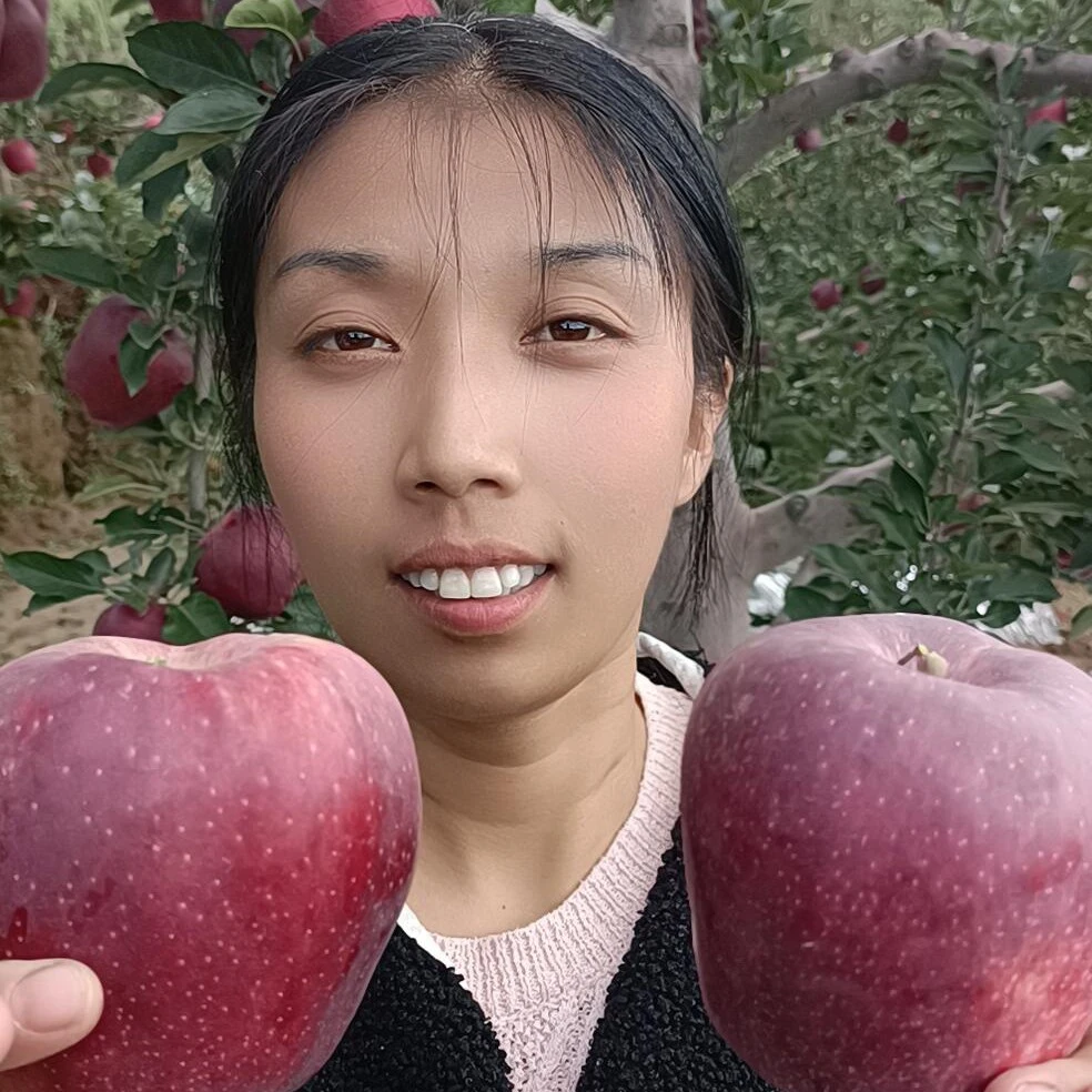 甘肃天水秦安高山花牛苹果脆甜爆汁新鲜采摘粉糯香甜可脆粉两吃