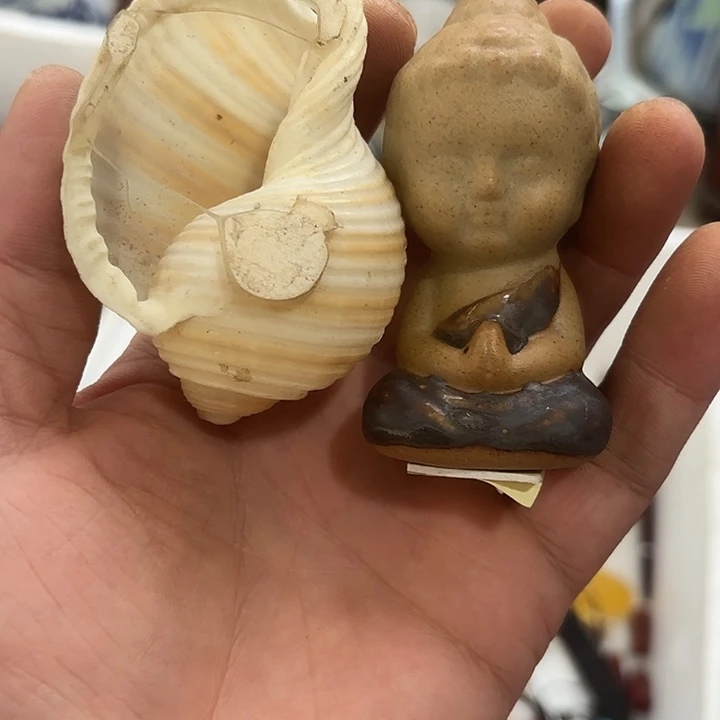 雨***藤杂色豆（科檀/科特迪瓦檀木）