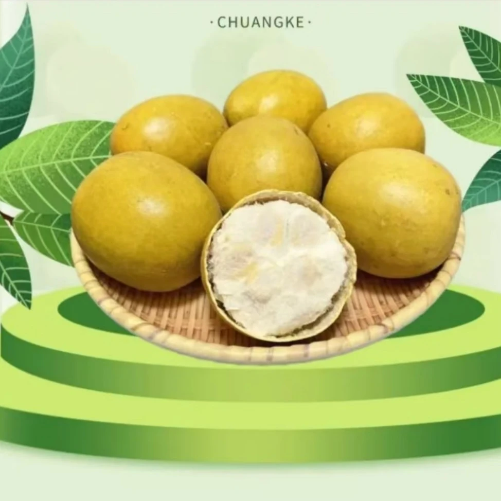 广西桂林大果干果罗汉果干果正宗桂林鲜果罗汉果罗汉果产地直销