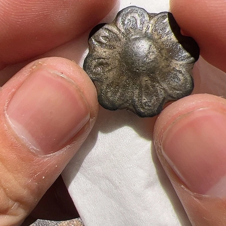 香榧木在这里的确