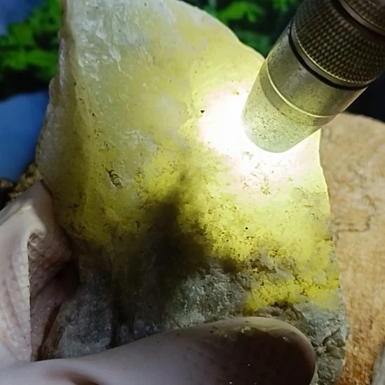 蛇纹石玉未镶嵌珠宝奇石