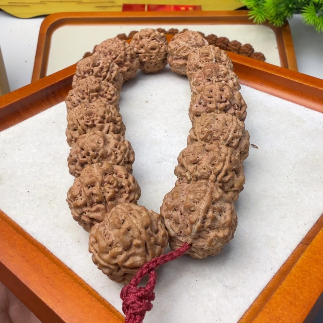 金刚菩提吊坠21➕粗筋蜂窝雪山铁籽姜黄皮