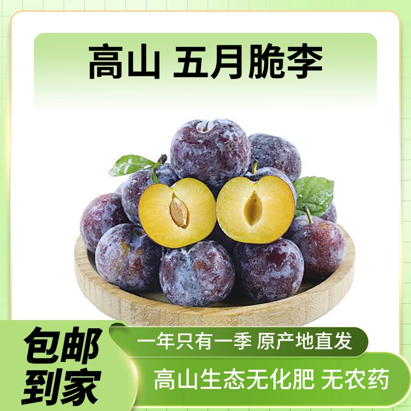 【竹邮助农】五月脆李5斤装