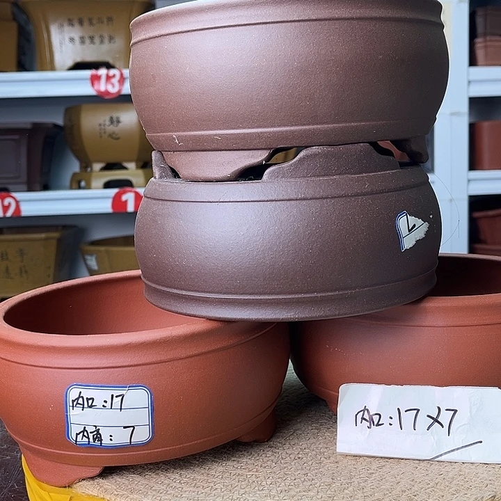 紫砂花盆你在一起