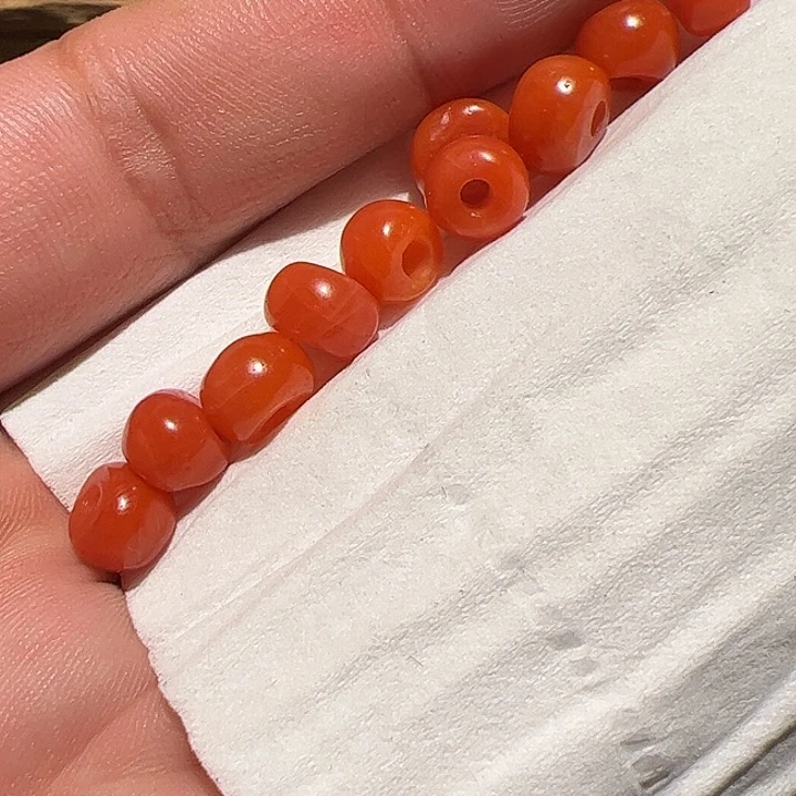 香榧木在这里的时候