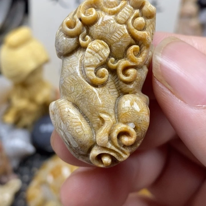 硅化珊瑚（珊瑚玉）未镶嵌颈饰