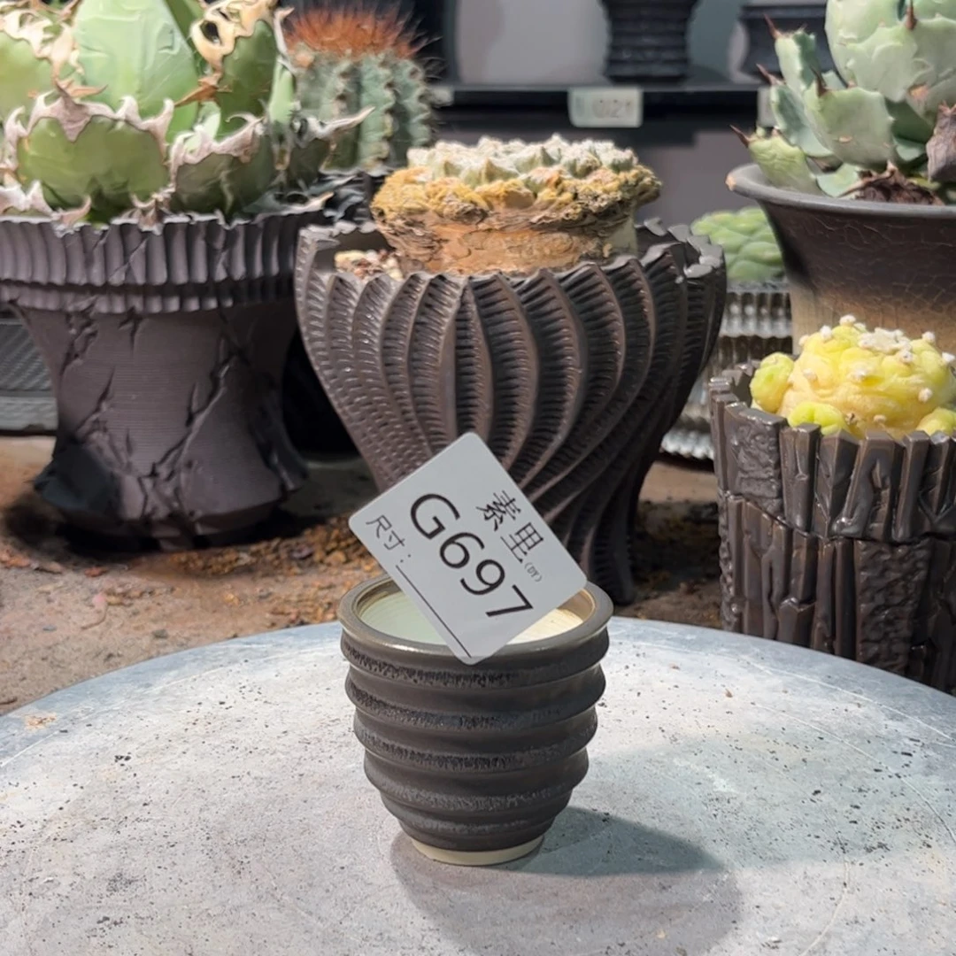 景德镇手工素里尽快5高5.5