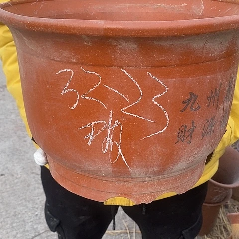 紫砂中国宜兴紫砂，