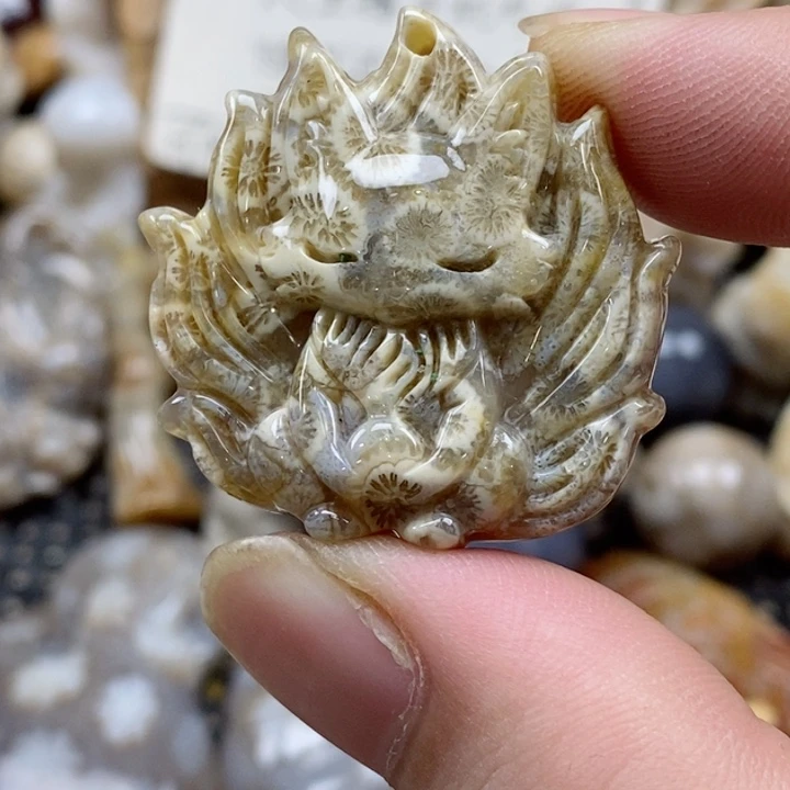 颈饰未镶嵌硅化珊瑚（珊瑚玉）有