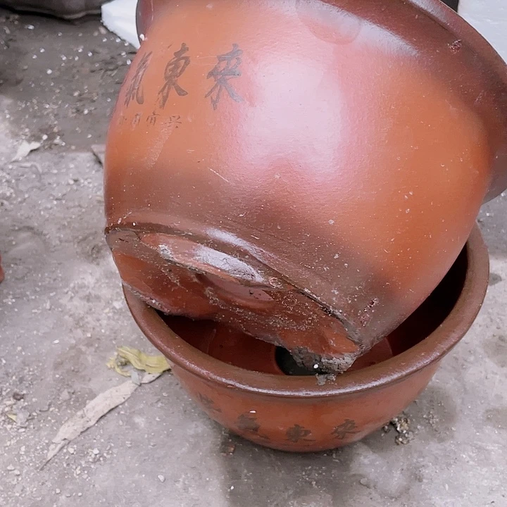 紫砂25/25紫气东来花片花片