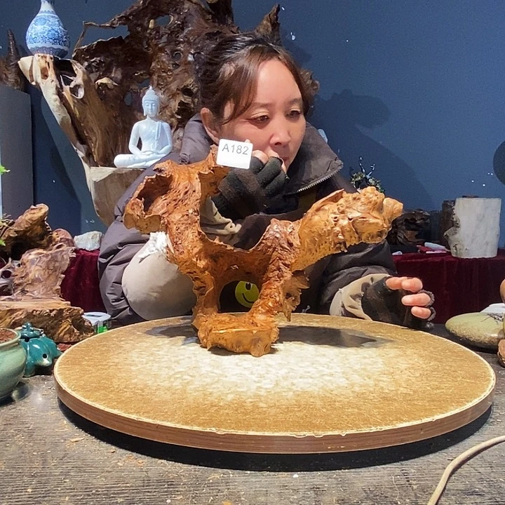 宜*…182株木的随行的根艺