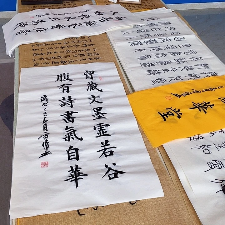 书法雷伟老师胸藏文墨