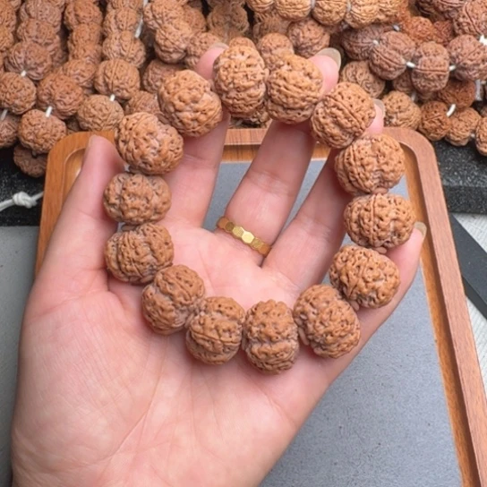 菩提3号尼泊尔大金刚22梅花五龙