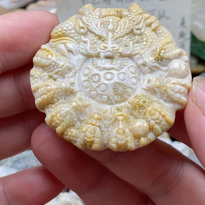 硅化珊瑚（珊瑚玉）未镶嵌颈饰