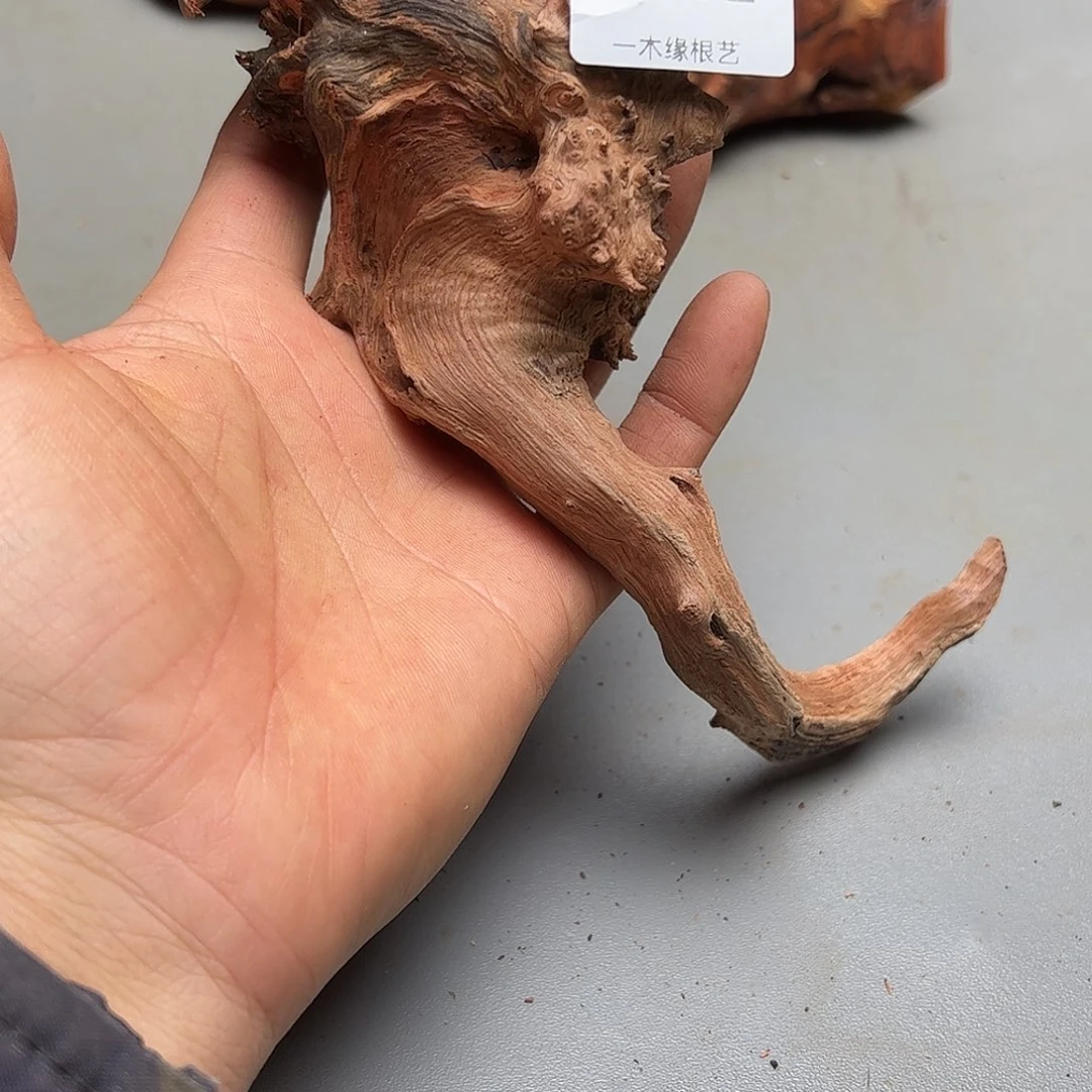 蔬***子无花朵        292