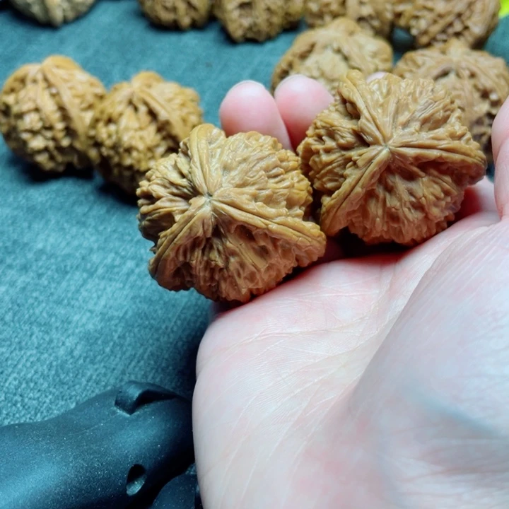 手工三棱白狮子三棱