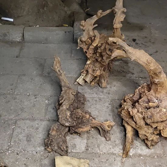 行***者木太行沉化麻梨疙瘩随型