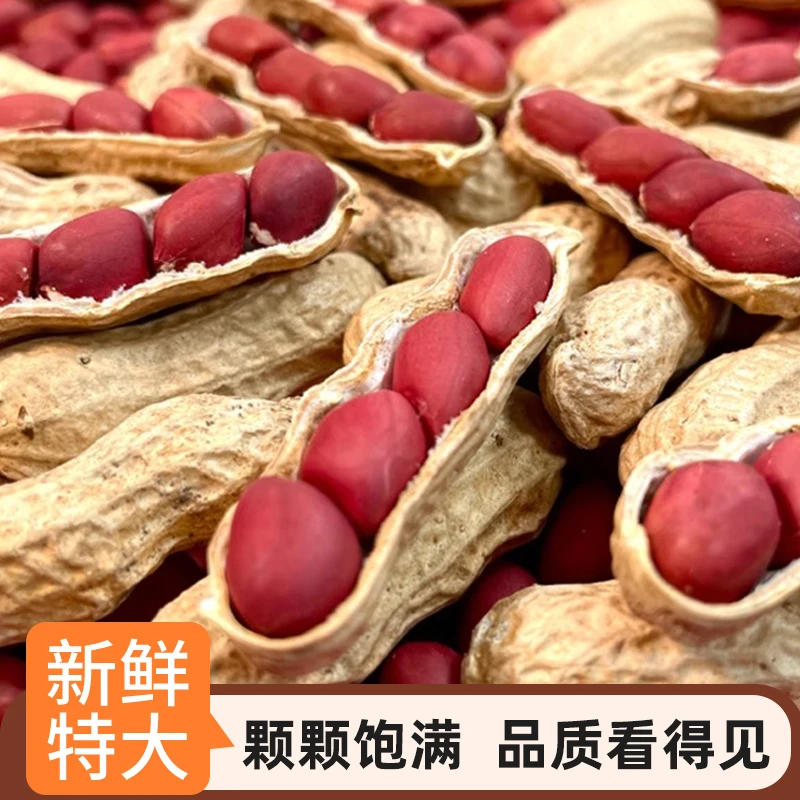 原味农家炒花生红皮原味500克
