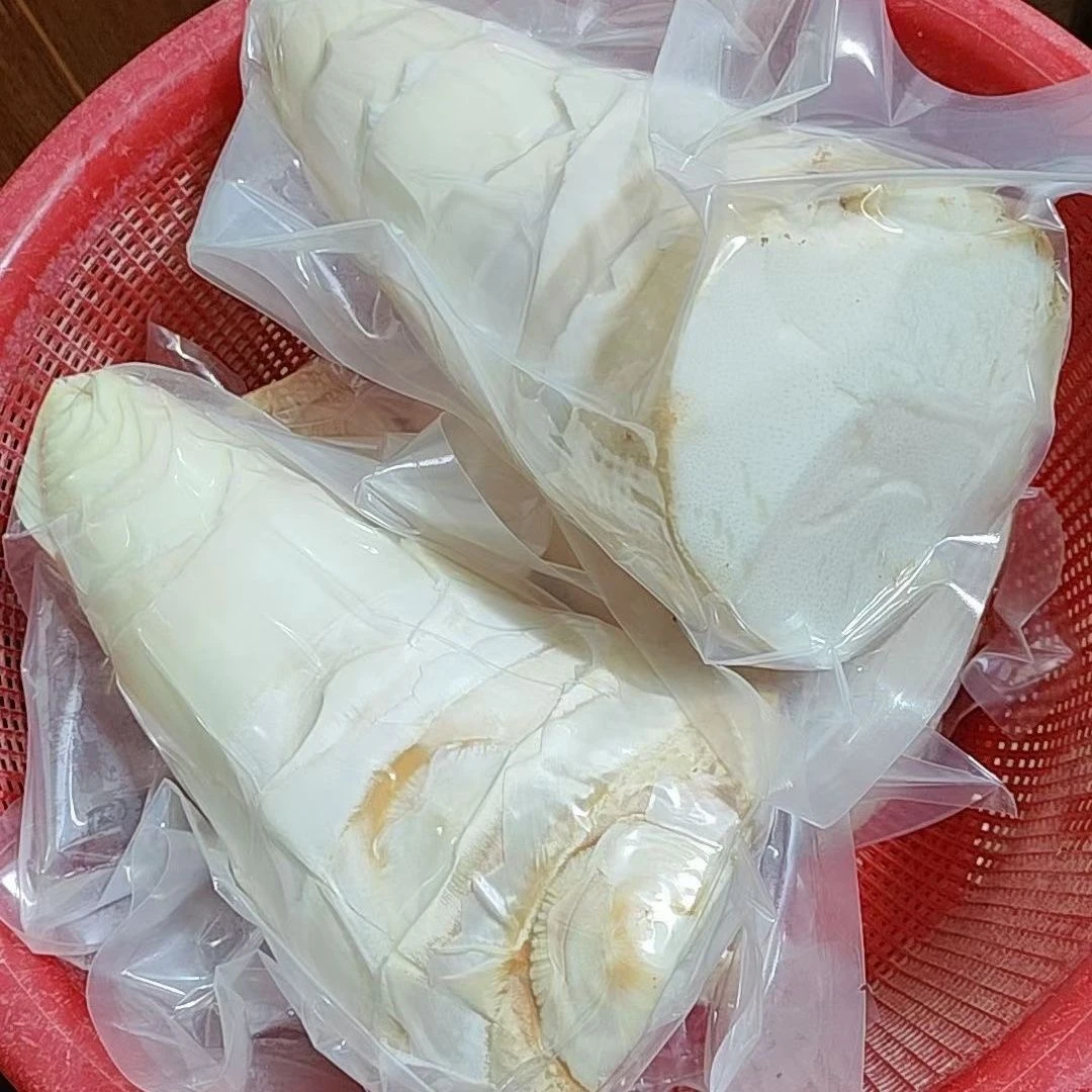 揭阳埔田麻竹笋新鲜现挖带壳农家野生原味大头笋当季鲜嫩甜笋商用