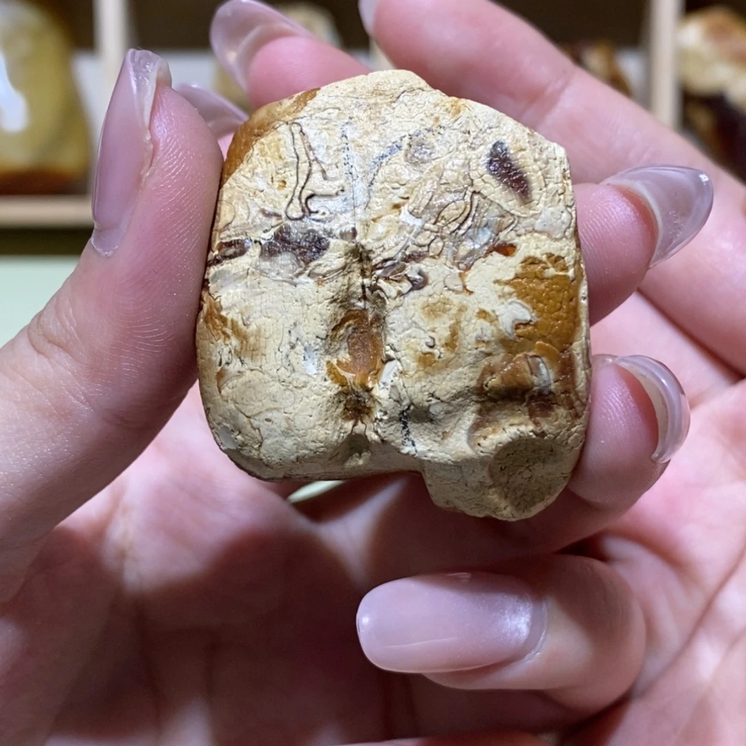 定制琥珀蜜蜡原石