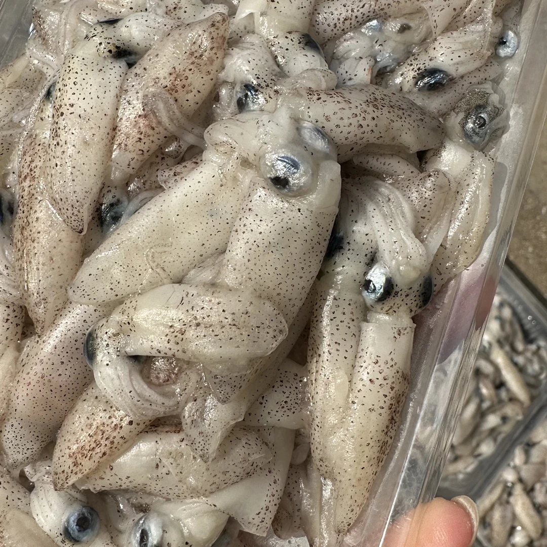 海兔笔管鱼新鲜海捕小鱿鱼速冻鲜嫩顺丰发货
