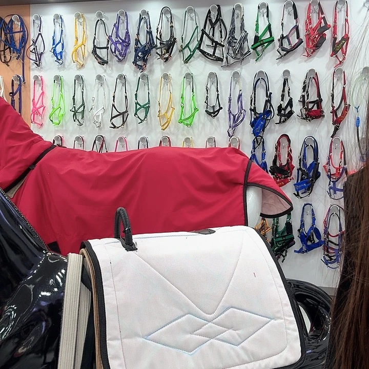 技巧鞍白色换不锈钢安全网马镫