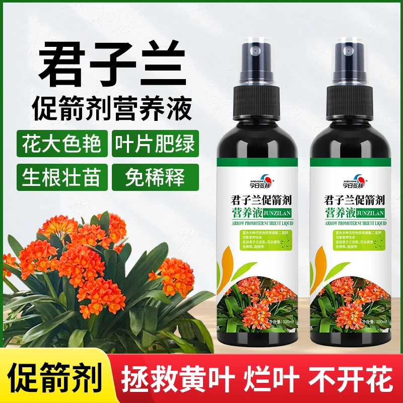 君子兰夹箭肥料君子兰营养液促箭剂催根开花保绿水培通用营养液