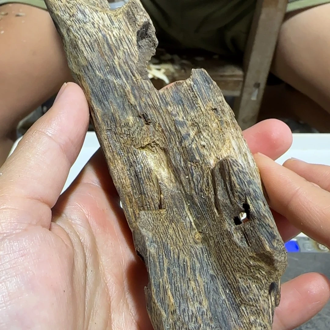 沉香沉香碎屑精品虫漏一根